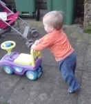 Yardin it...